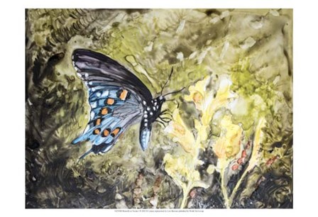Butterfly in Nature I by B. Lynnsy art print