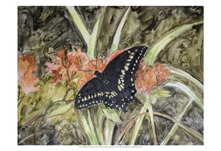 Butterfly in Nature III by B. Lynnsy art print