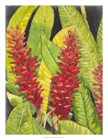 Red Tropical Flowers I by Timothy O&#39;Toole art print