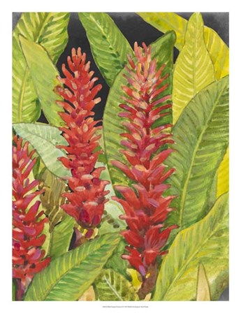 Red Tropical Flowers II by Timothy O&#39;Toole art print