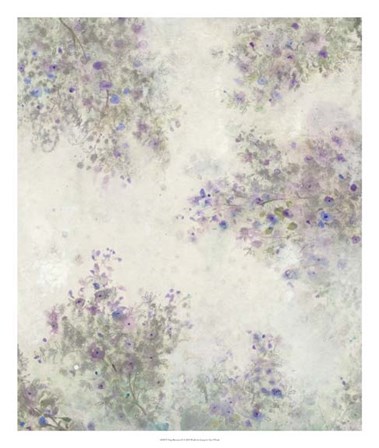 Twig Blossoms IV by Timothy O&#39;Toole art print