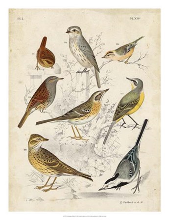 Gathering of Birds I by G Lubbert art print