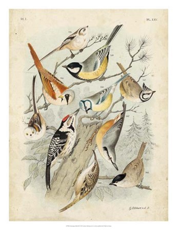 Gathering of Birds II by G Lubbert art print