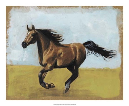 Equestrian Studies II by Naomi McCavitt art print