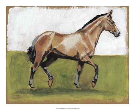 Equestrian Studies III by Naomi McCavitt art print
