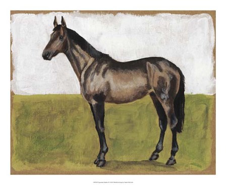 Equestrian Studies IV by Naomi McCavitt art print