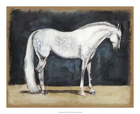Equestrian Studies V by Naomi McCavitt art print