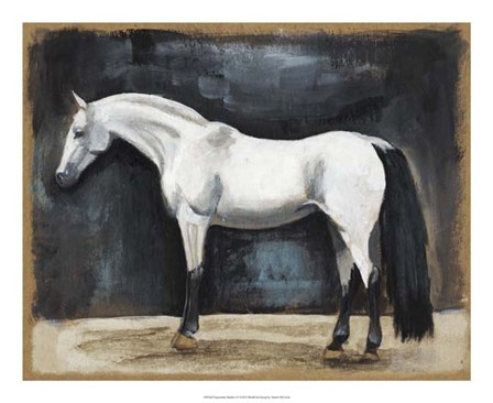 Equestrian Studies VI by Naomi McCavitt art print