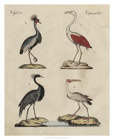 Heron Classification II by Friedrich Strack art print