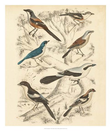 Avian Habitat V by Malcolm Milne art print