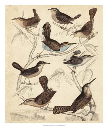 Avian Habitat VI by Malcolm Milne art print