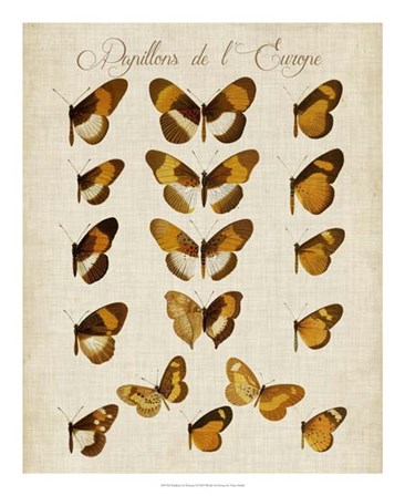 Papillons de L&#39;Europe I by Vision Studio art print