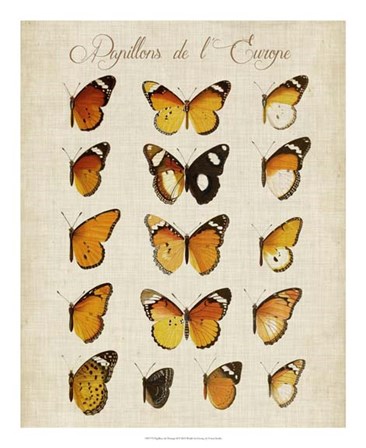 Papillons de L&#39;Europe II by Vision Studio art print