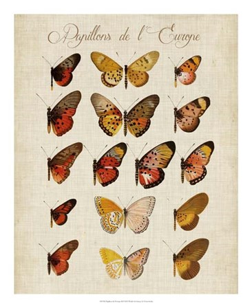 Papillons de L&#39;Europe III by Vision Studio art print