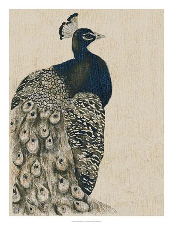 Textured Peacock I by Grace Popp art print