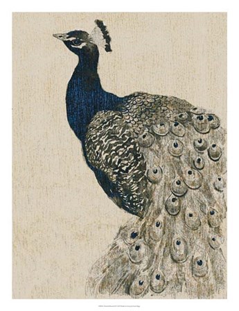 Textured Peacock II by Grace Popp art print