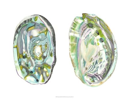 Abalone Shells II by Naomi McCavitt art print