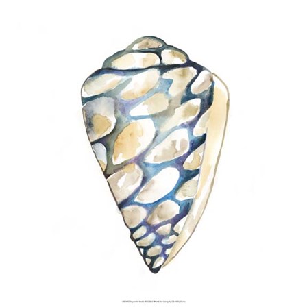 Aquarelle Shells III by Chariklia Zarris art print