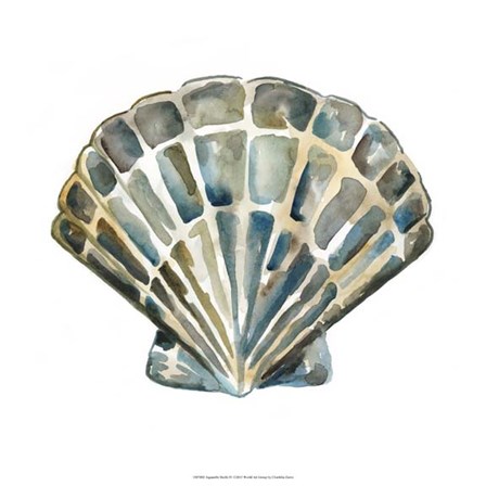 Aquarelle Shells IV by Chariklia Zarris art print