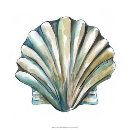 Aquarelle Shells VI by Chariklia Zarris art print