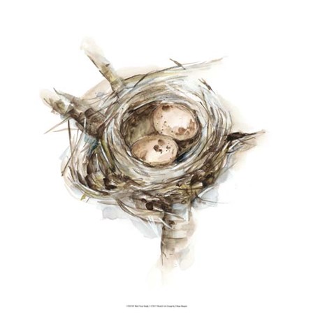 Bird Nest Study I by Ethan Harper art print