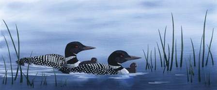 Family of Loons by Kestrel Michaud art print