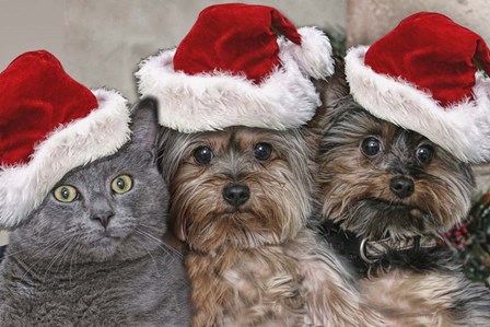 Santa&#39;s Helpers by Liz Zernich art print