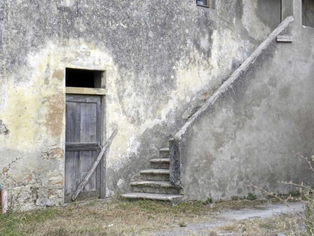 Trip 2 by Liz Zernich art print