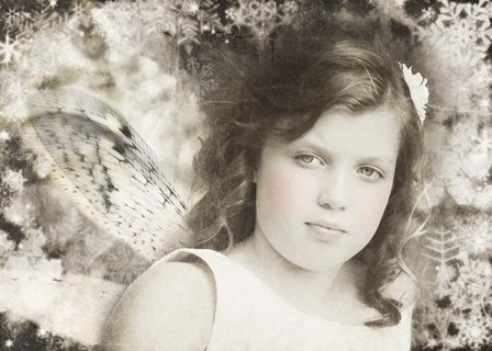 Winter Fairy by Liz Zernich art print
