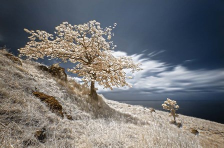 Mother and Child by Michael de Guzman art print