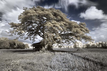 San Gabriel by Michael de Guzman art print