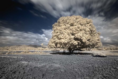 Papsikol by Michael de Guzman art print