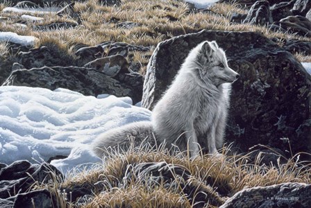 Northern Morning by Ron Parker art print