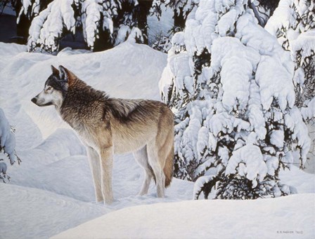 Winter's Blanket by Ron Parker art print