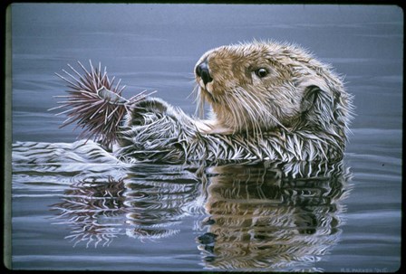 Sea Otter With Urchin by Ron Parker art print