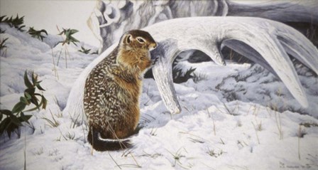 Sic Sic And Moose Antler by Ron Parker art print