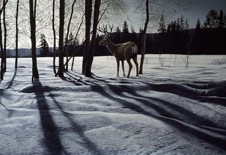 Afternoon Shadows- Mule Deer by Ron Parker art print