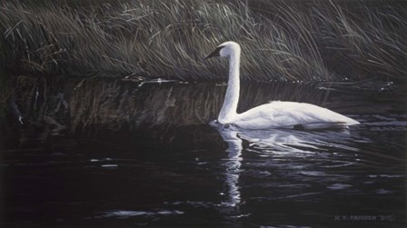 Summer River by Ron Parker art print