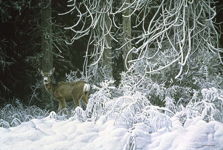 Snow Palace - Mule Deer by Ron Parker art print