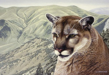 High Country by Ron Parker art print