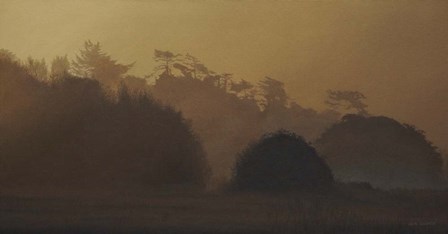 Golden Mist by Ron Parker art print