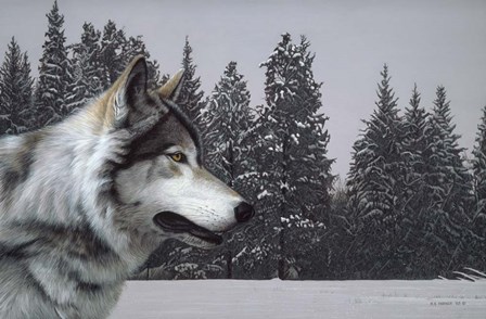 Wolf Portrait by Ron Parker art print