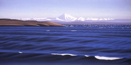 Oak Bay Afternoon by Ron Parker art print