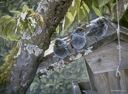 Baby Blues by Ron Parker art print