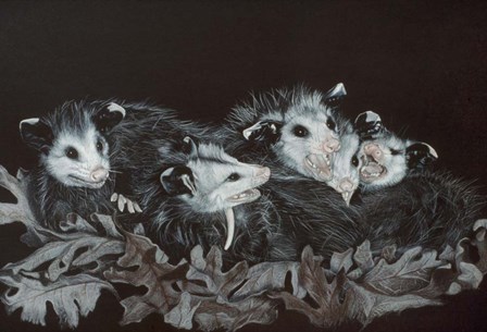Rodents by Rusty Frentner art print