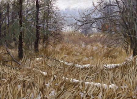 Kensington Metro Park Trail by Rusty Frentner art print