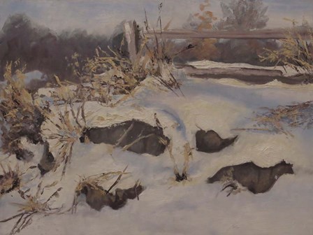 Snow Mounds by Rusty Frentner art print