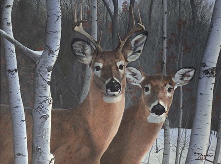 Deer Magic by Rusty Frentner art print