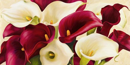 Calla Composition by Serena Biffi art print