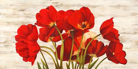 French Tulips by Serena Biffi art print